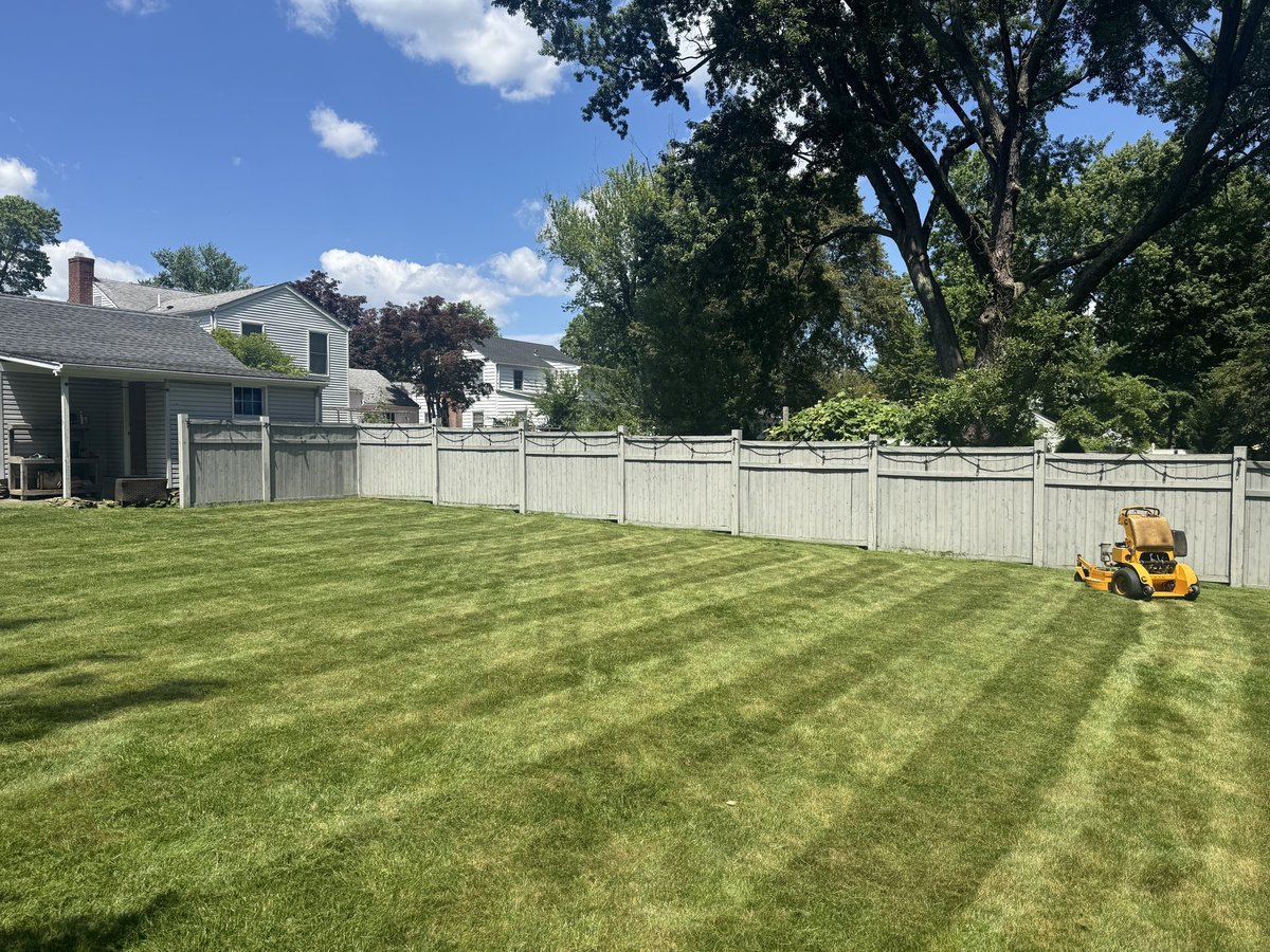 Professional landscaping work