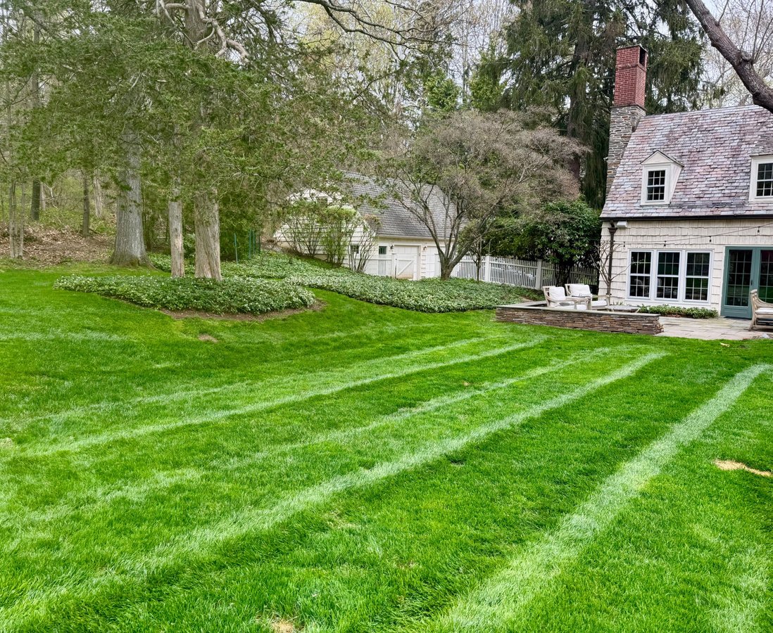 Beautiful lawn care results